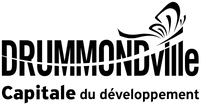 villeDMV